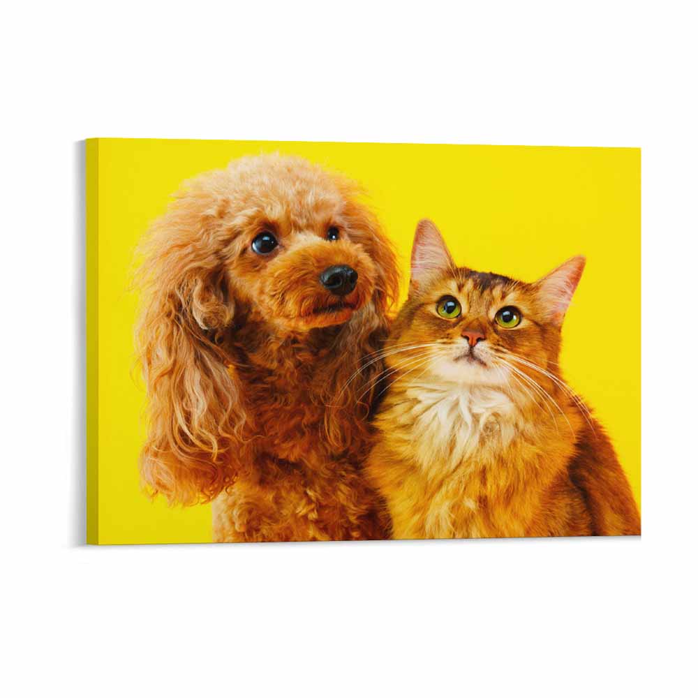 Decorative Frame Art Horizontal 4 3 Ratio