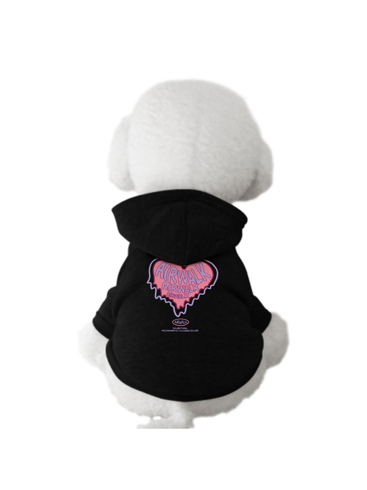 Pet Portrait Hoodie Japanese Direct Ship