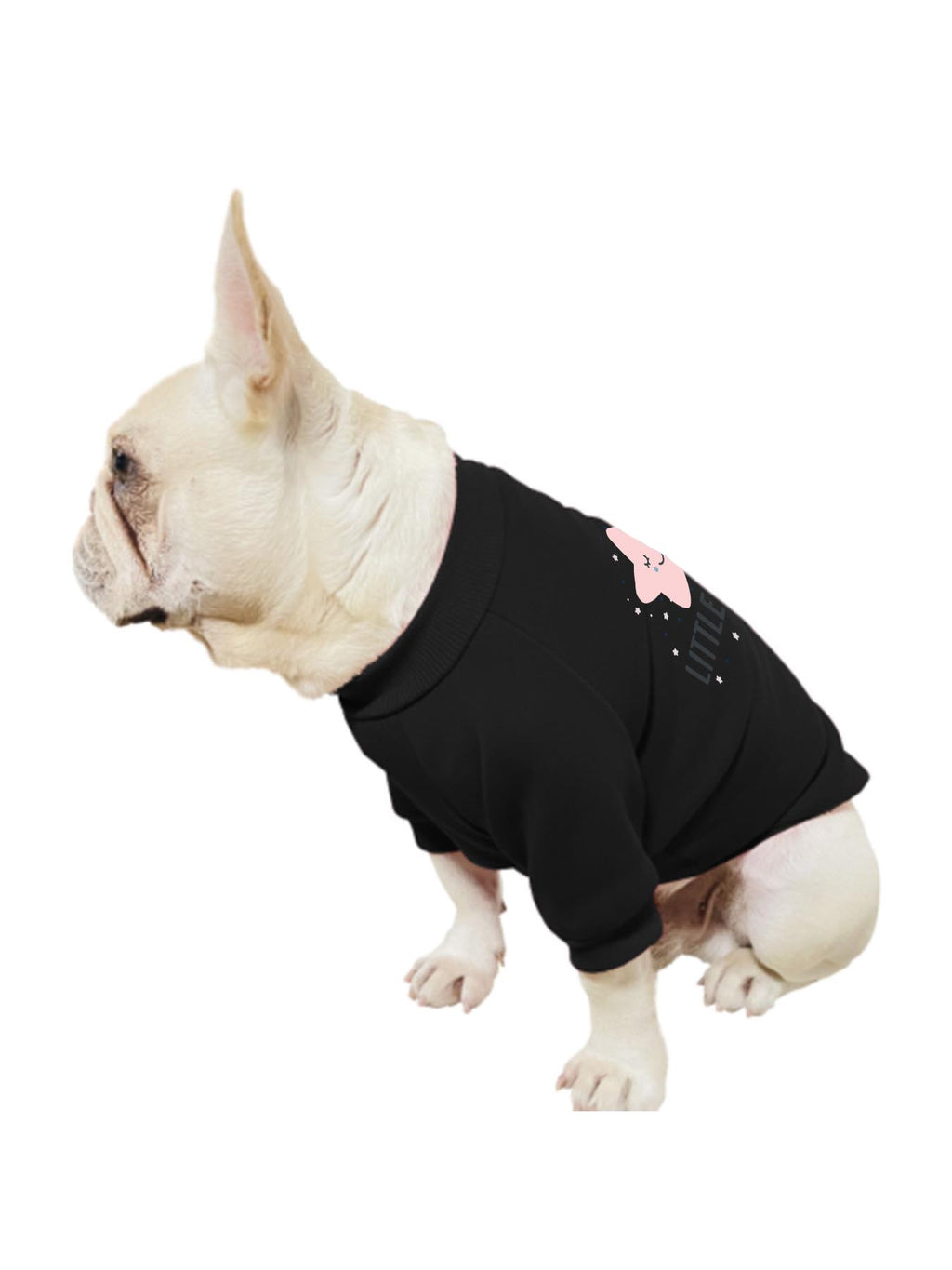 Pet Portrait Sweater Japanese Direct Ship Tbb001
