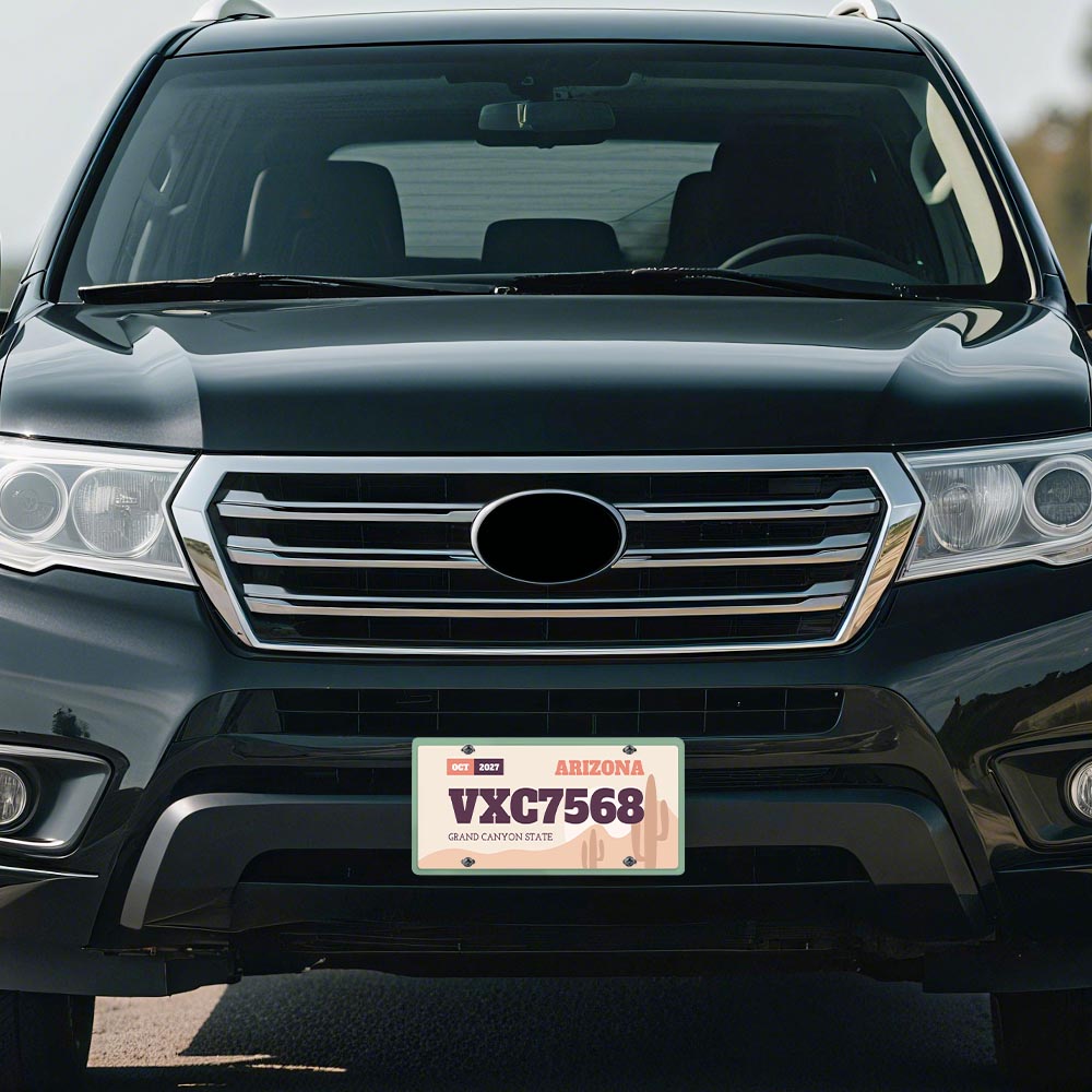 License Plate Iron Plate Us Direct Ship
