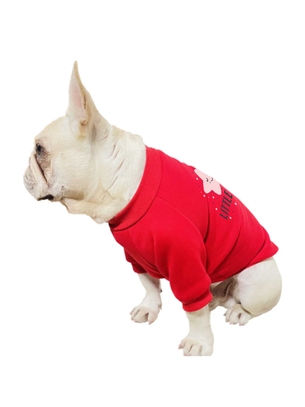 Pet Portrait Sweater Japanese Direct Ship Tbb001