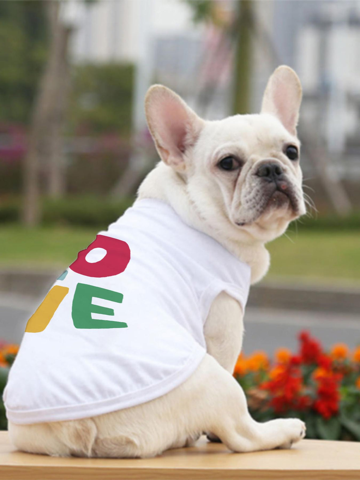 Pet Heat Transfer Solid Color Vest Tbb001 Japanese Ship