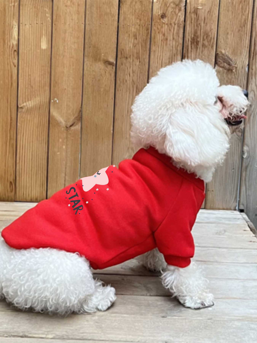 Pet Portrait Sweater Japanese Direct Ship Tbb001