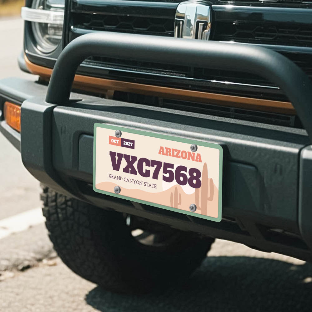 License Plate Iron Plate Us Direct Ship