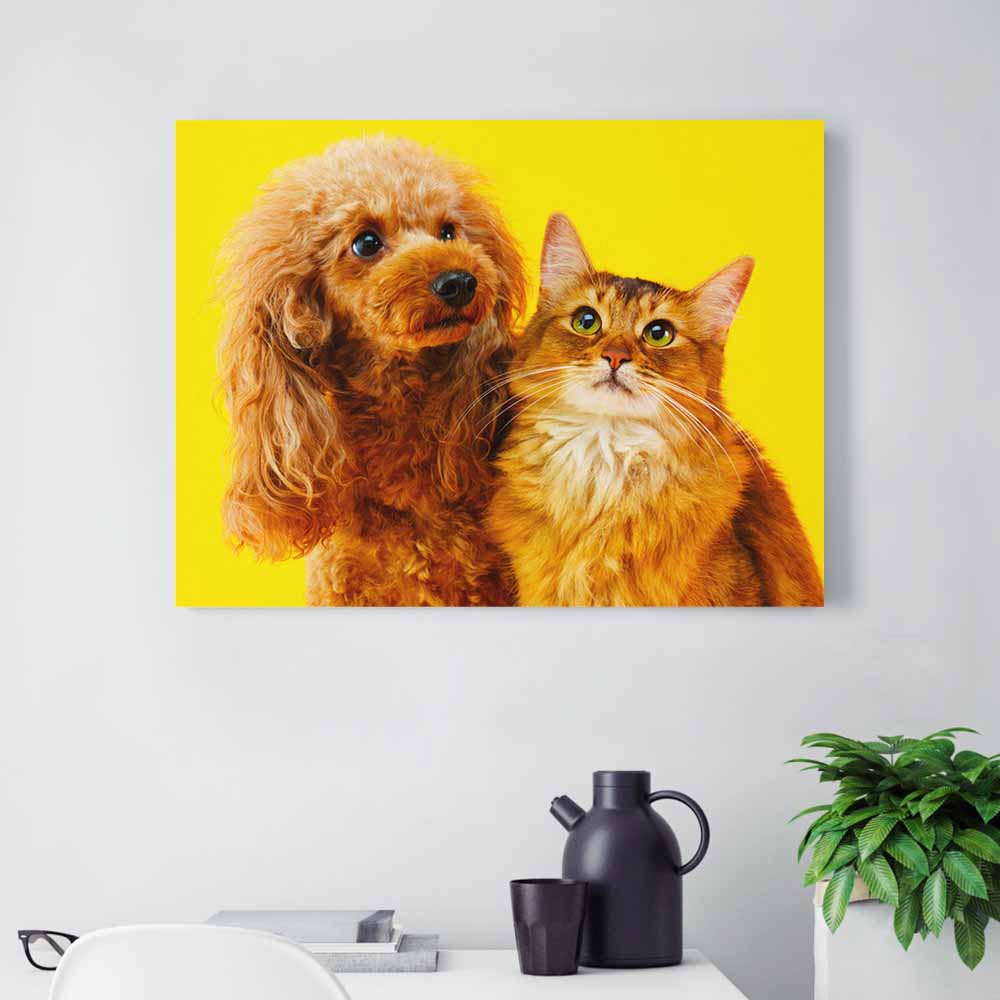 Decorative Frame Art Horizontal 4 3 Ratio