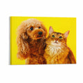 Decorative Frame Art Horizontal 4 3 Ratio