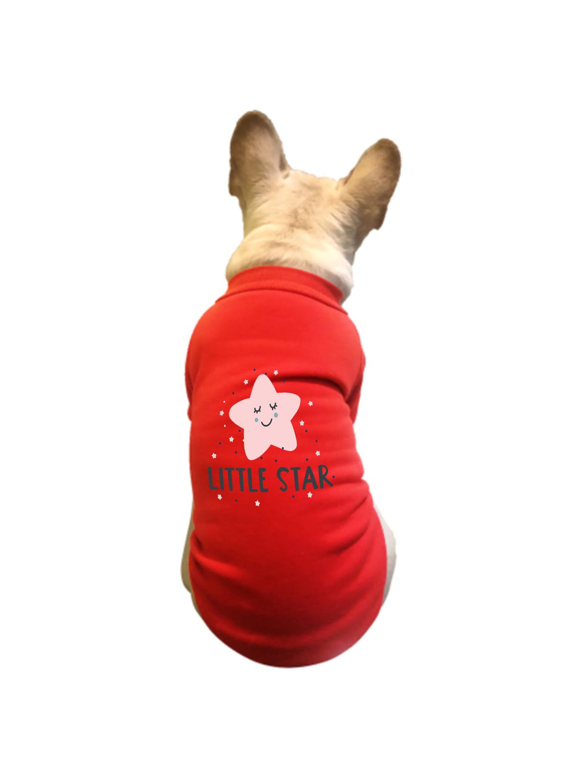 Pet Portrait Sweater Japanese Direct Ship Tbb001