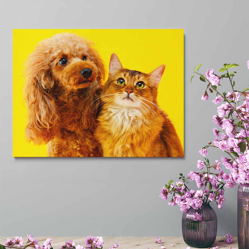 Decorative Frame Art Horizontal 4 3 Ratio