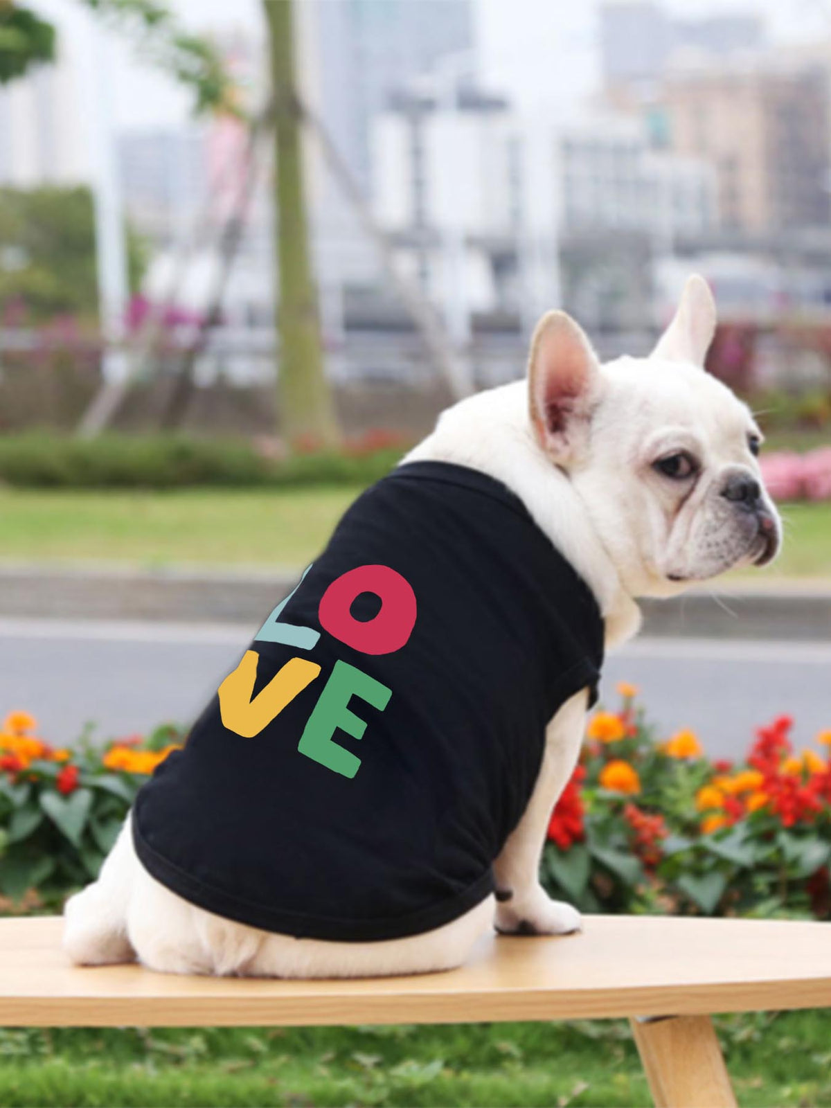 Pet Heat Transfer Solid Color Vest Tbb001 Japanese Ship